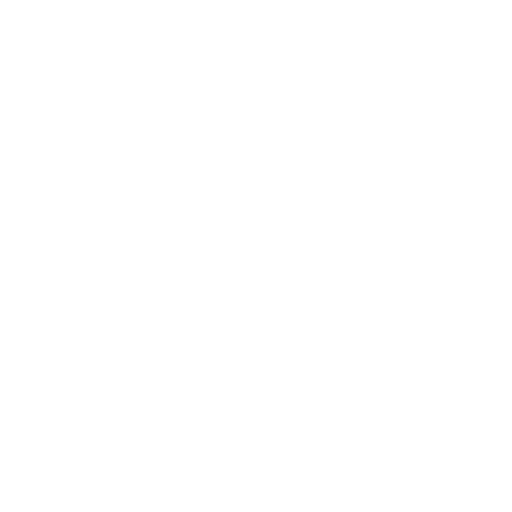 Firma Sara